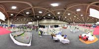 pano8